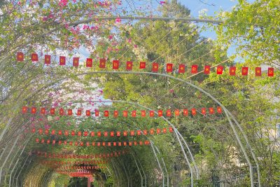 ĐƯỜNG CỜ TẠI CỔNG TRƯỜNG THPT LẮK